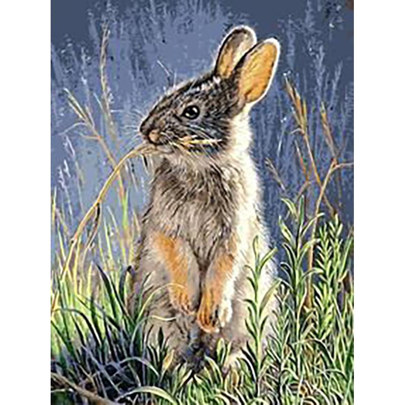 Кролик DIY 5D алмазная живопись полная круглая дрель животное Алмазная вышивка мозаика фермерский дом ручная работа настенное искусство домашний декор подарок