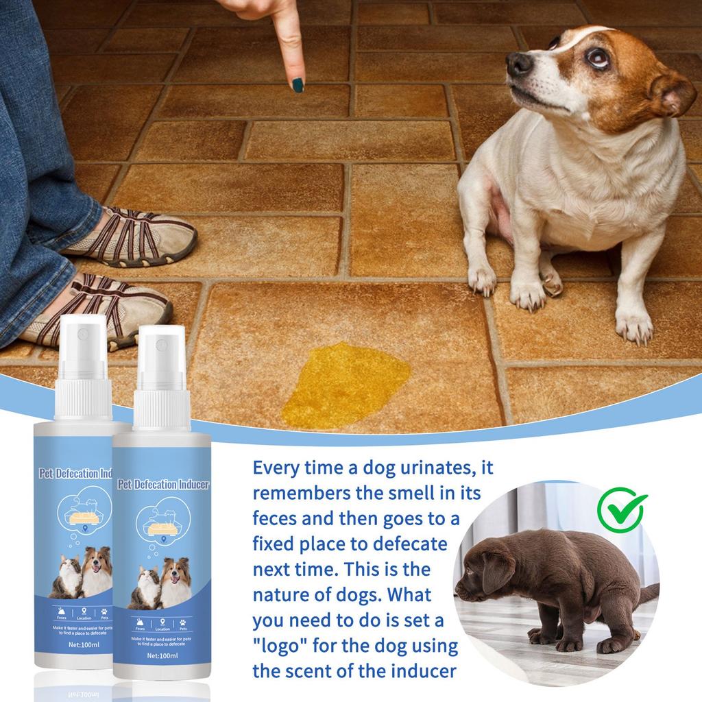Dog Toilet Training Spray, Puppy Toilet Training Spray, Corrects Your Dog's Bad Bowel Behavior And Helps You Train Your Dog To The Toilet 100ml