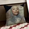Singer DDoja CatS Cushion Cover Reversible Soft Durable Pillow Cover Home  Car MultiScene Use for Daily Comfort