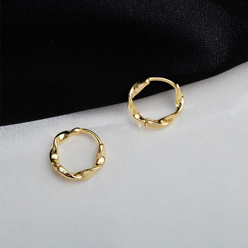 Fashion Simple Small Hoop Earrings for Women 2026 Trend Twist Metal Circle Geometric Round Earrings Party Zircon