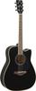 Trans Acoustic Guitar Black BL FGC-TA