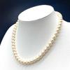 Akoya Pearl Necklace Natural Jewelry Pink Beige Approx. 42cm 7.5mm–8.0mm 36.3g Silver Clasp