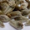 Hat Wild Shinihwa 100 г Чай из цветков магнолии Цветок магнолии