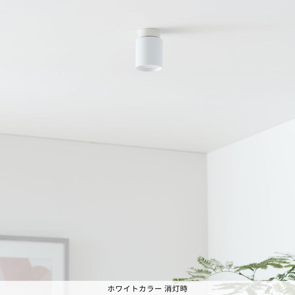 Artwork Studio Grid Ceiling Downlight, 40,000-Hour Lifetime, Color Temperature Adjustable (WarmWhite), White, AW-0552E-WH [LED Bulb Built-in]