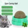Catnip Matatabi Teasing Ball and Chew Stick for Kitten Play