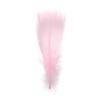Natural Color Wedding Ornaments Costume Decoration Goose Feathers Home Decoration Colorful Feather