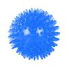 Toy Ball High Elastic Squeaking Sound Pointed Spike Ball Floating Water Resistant Cleaning Teeth Dog Toy Ball