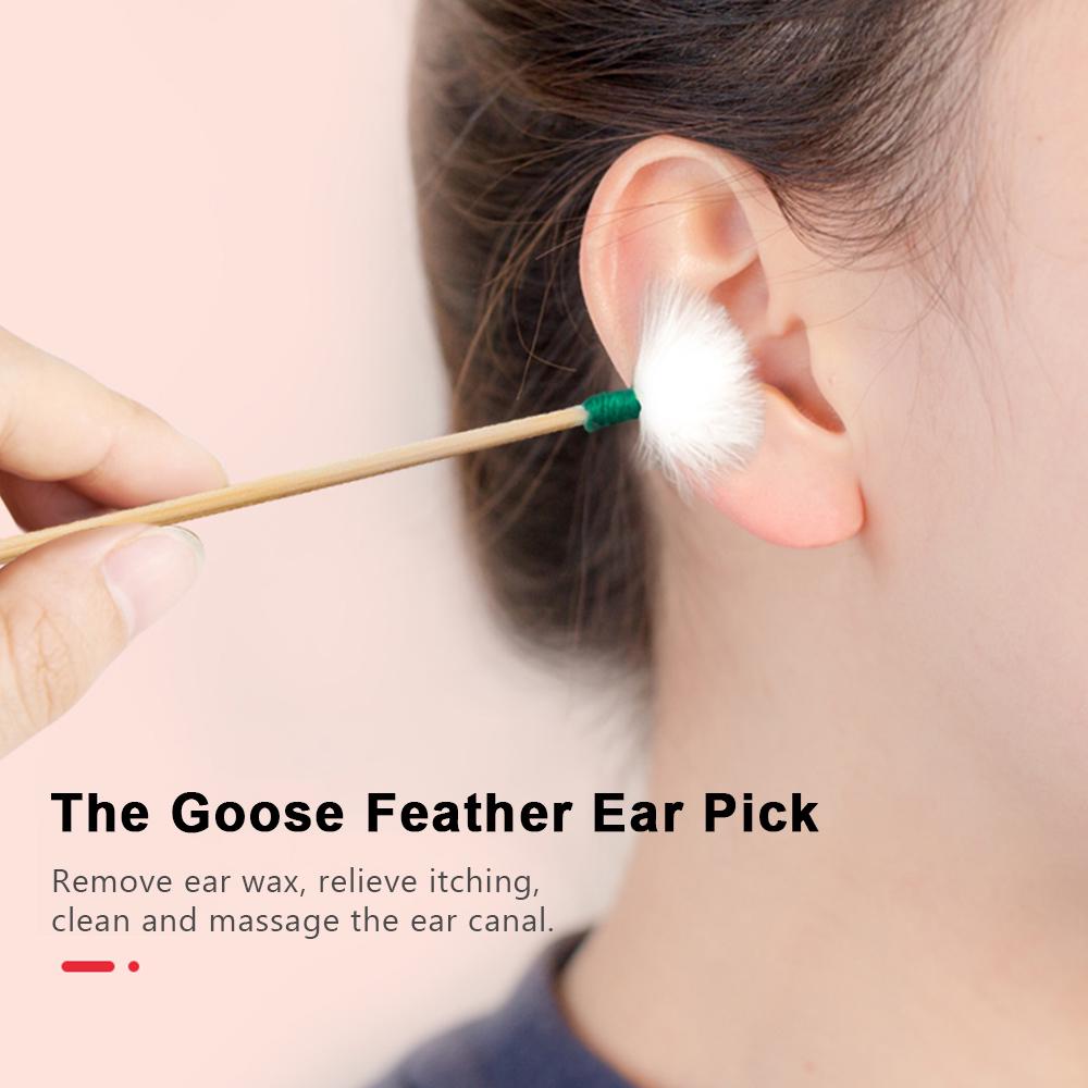 Наборы для чистки ушей из нержавеющей стали, 9 шт./компл., кюретка для удаления воска с ушами, гусиное перо, ушная палочка для ушей