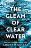 Книга The Gleam of Clear Water