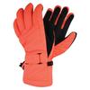 Womens/Ladies Acute Ski Gloves