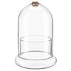 OUNONA Glass Terrarium, 8.3" X 5.5" Glass Dome with Air Holes, Plant Terrarium, Vase, Stable Base, Micro Landscape, Home Office Decor, Gift Ready