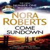 Come Sundown by Nora Roberts Paperback Book 9780349410890