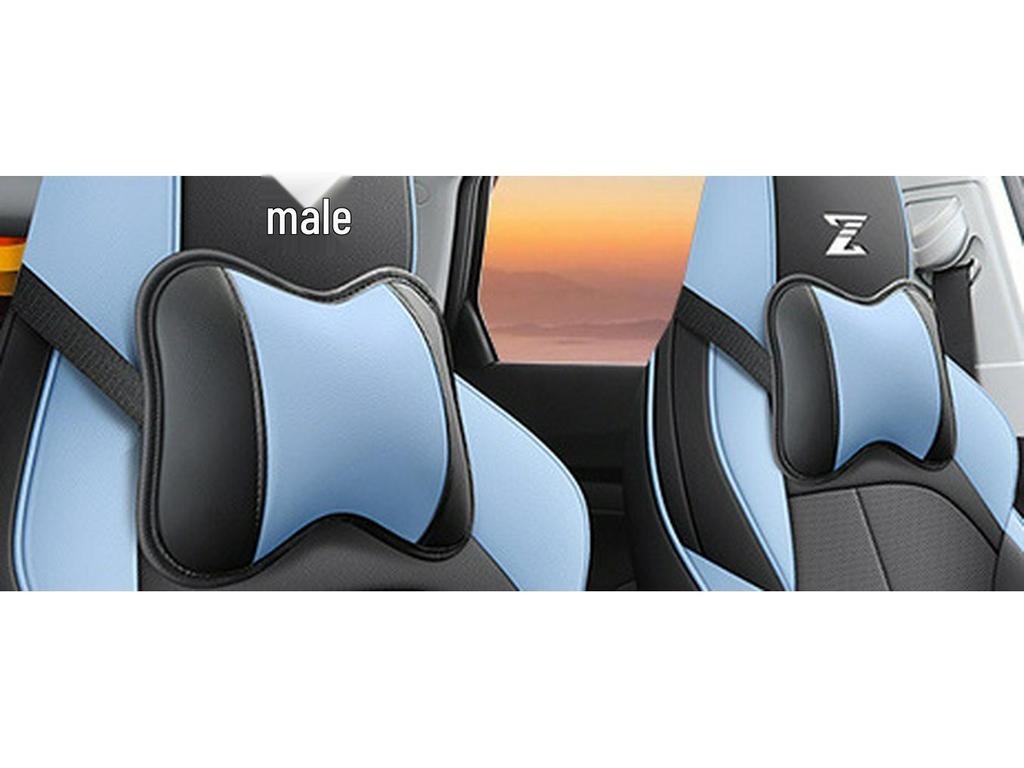 Changan Oshan Z6 Smart Edition 2.0T Blue Whale 2023 Car Seat Cushion Cover