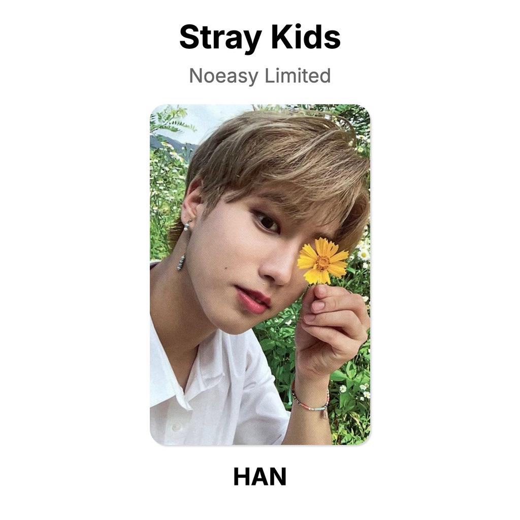 Stray Kids Официальная фотокарточка Noeasy Limited