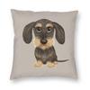 Wire Haired Wiener Dog Square Pillowcase Polyester Linen Velvet Creative Zip Decorative Room Cushion Case