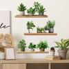Painted Potted Plant with Shelf Self Adhesive Wall Sticker for Bedroom Living Room Home Background Decor
