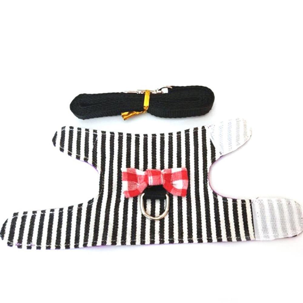 Safety Cute Ferret Adjustable Squirrel Harness Leash Leads Hamster Vest Chest Strap