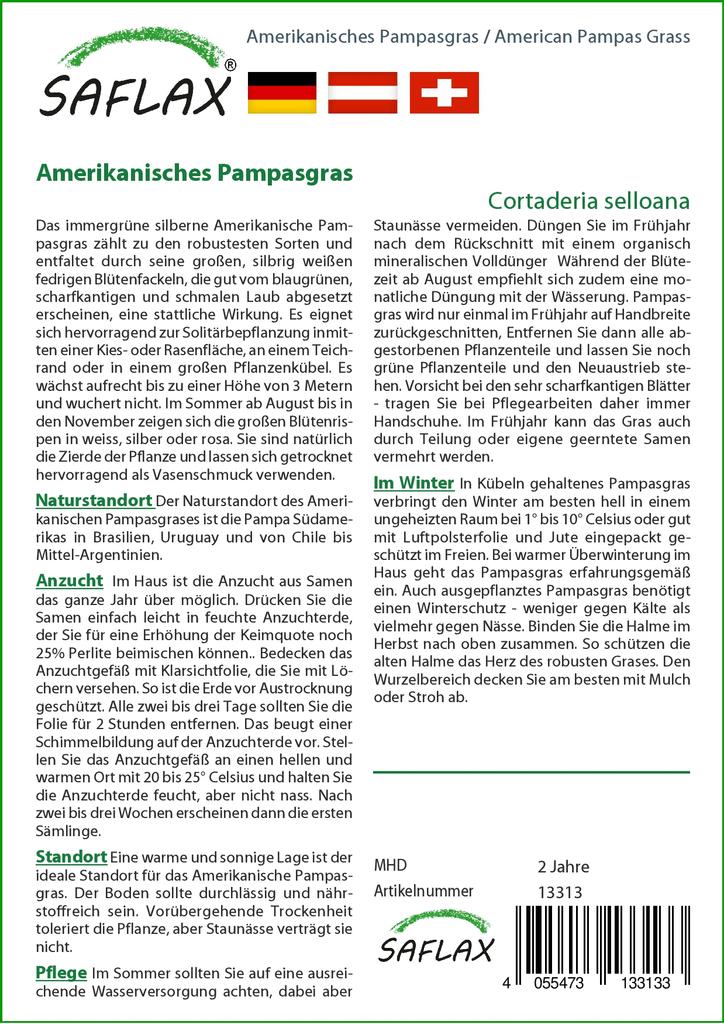 SAFLAX Garden in the Bag - Трава американской пампасы - 200 семян - С субстратом в подходящем мешке - Cortaderia Selloana