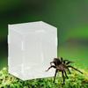 Reptile Breeding Box Animal Habitat Cage Clear Terrarium Enclosure for Geckos Young