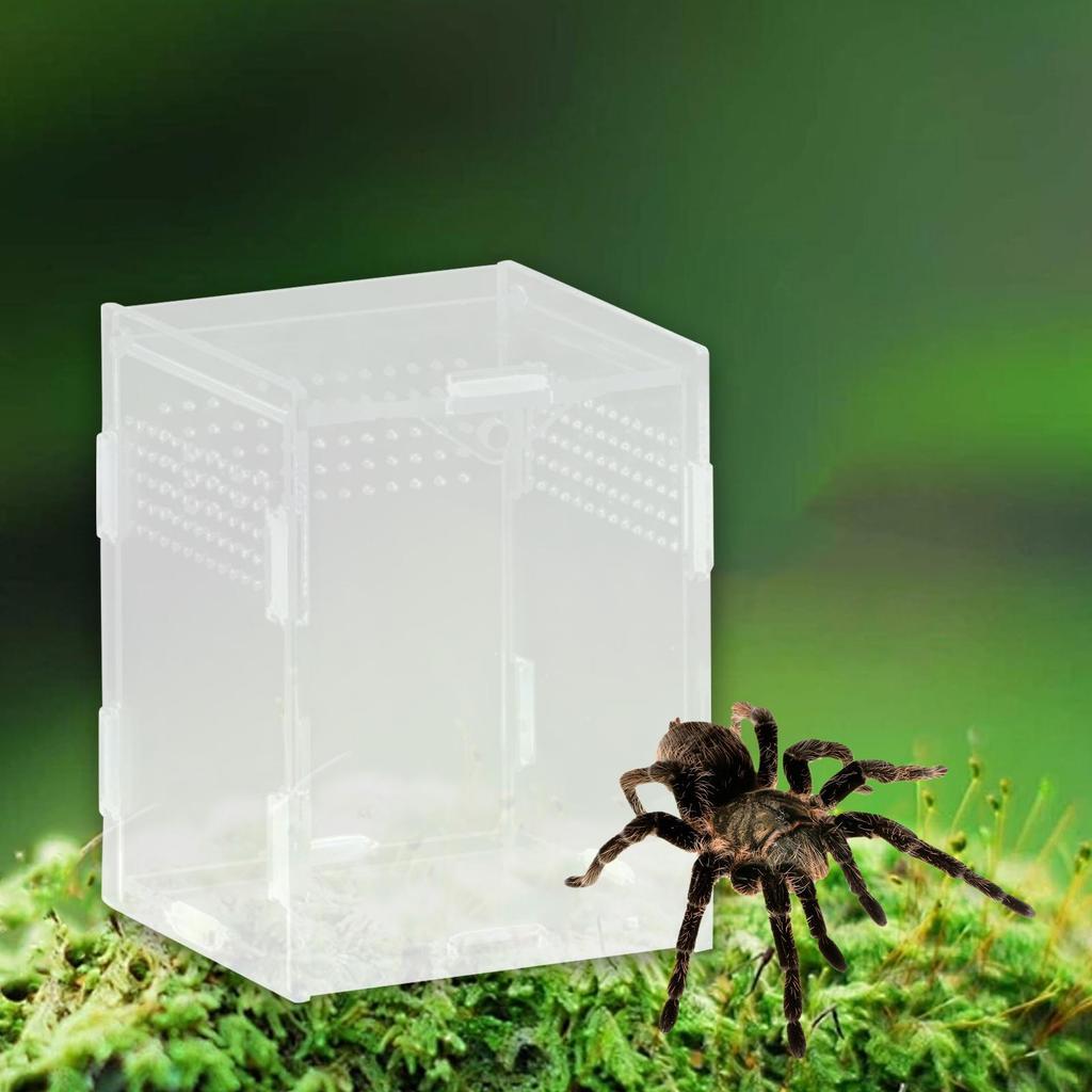 Reptile Breeding Box Animal Habitat Cage Clear Terrarium Enclosure for Geckos Young