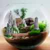 8pcs Mountain Decorative Miniature Set for Indoor Garden Accessories