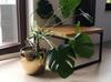 Ceramic flowerpot, gold ball, 13.5x12.5 cm
