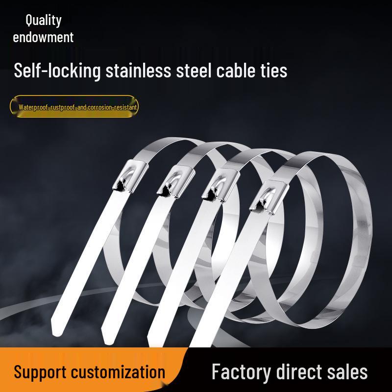 304 Stainless Steel Self-Locking High-Temperature Resistant Marine Cable Tie 4.6mm x 300mm