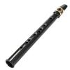 Black Pocket Sax Mini Portable Saxophone Little Saxophone With Carrying Bag Woodwind Instrument