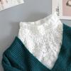 Lace Semi-Turtleneck Stand-Up Collar Fake Collar Women'S Shirt Versatile Fake Collar Anti-Wrinkle White Primer Sweater Decorative Collar