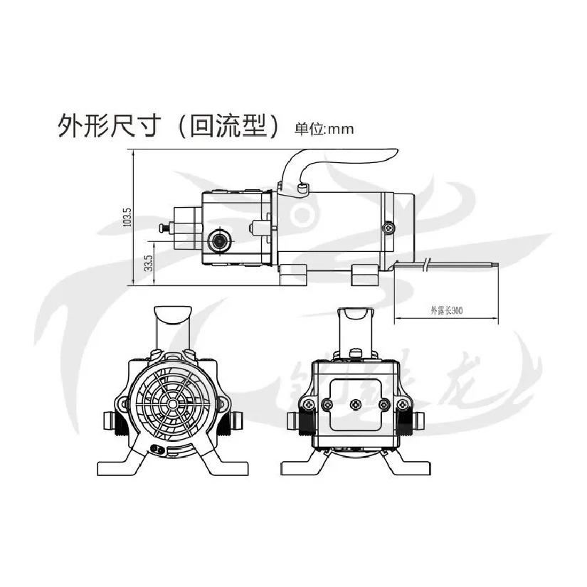 12V 24V 120W 130PSI 10L / Min Water High Pressure Diaphragm Self-priming Pump Sprayer Car Wash