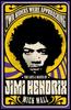 The Jimi Hendrix Book