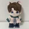 [USED] SEVENTEEN Jun 15cm Doll