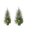 80CM/120CM Norfolk Pine Christmas Tree Front Door Christmas Tree Decoration Artificial Christmas Tree Christmas Decoration