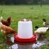4/6Pcs 1.5L Chick Feeder Waterer Baby Chicken Duckling Quails Small Birds Pigeon Poultry Drinker
