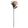 Hill Interiors Faux Peach Peony Rose