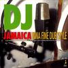 LP Пластинка РАЗНЫЕ ИСПОЛНИТЕЛИ - DJ Jamaica Inna Fine Dub Style JRLP028 Ямайская Запись 2008 Великобритания Регги, Ска и Даб