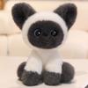 24Cm Kawaii Cat Plush Doll Devon Rex Siamese Cat Pet Kitten Plush Toy Cute Decoration Accompany Sleep Toy Birthday Gift