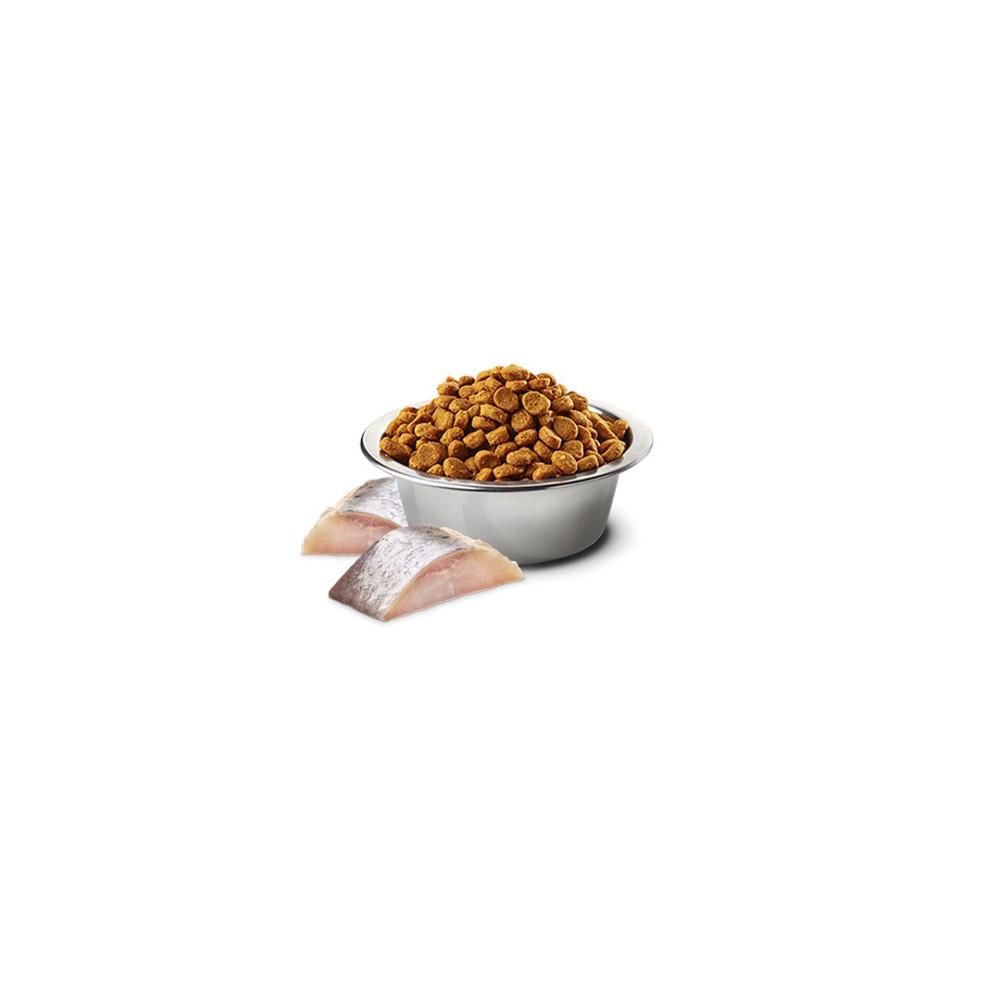 Farmina N&D Spirulina Herring Cat Adult Dry Cat Food 1.5 Kg