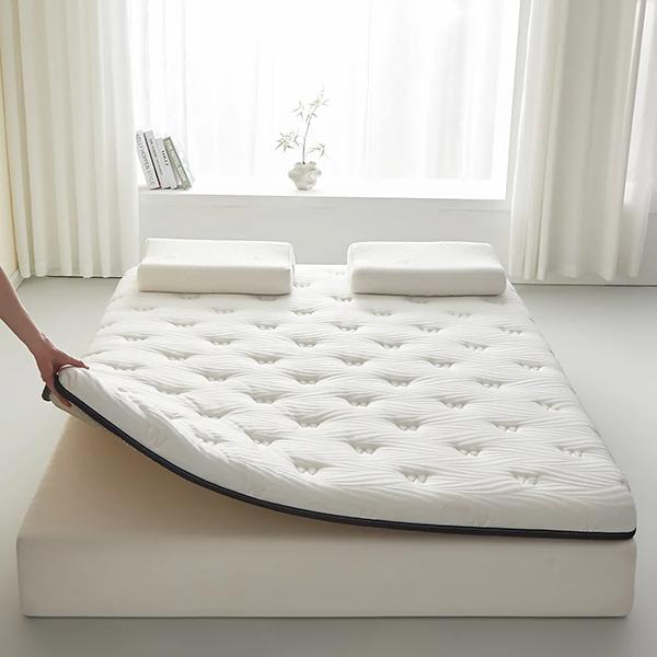 WTEMPO Solid Color Thickened Single/Double Mattress Cushion Soft Home Double-sided Bed Mattress Quilts Warm Winter Single Student Dormitory Mattress