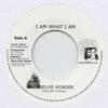 7inch Record SELVIE WONDER - I Am What I Am / Rasheart - All Nat ES01 Ras Heart Recor 2012 UK Reggae, Ska & Dub