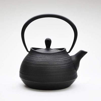 Железный чайник Nanbu Ichido Hakeme Ironware 0,6 л [черная отделка]