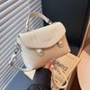 Premium Sense Niche Bag Women's 2025 Summer New Simple Shoulder Bag Versatile Casual Messenger Bag Small Bag