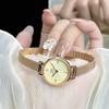 DANIEL WELLINGTON Европейские и американские часы Часы кварцевый механизм стальной ремешок 19 мм золотой циферблат женские часы подарочная коробка DW00100741