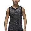Мужская спортивная сетчатая майка Air Jordan Sport Dri-FIT 'Черный Белый' FN5855-010