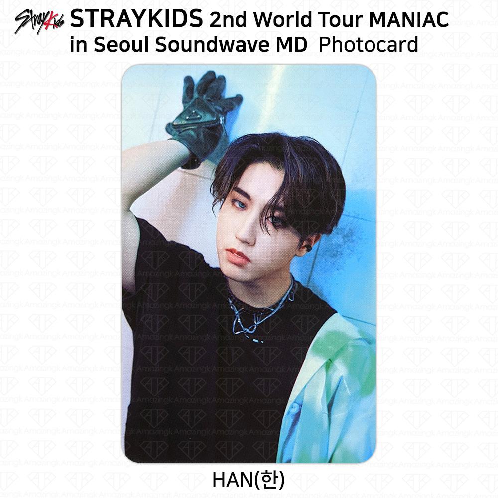 Stray Kids 2-й мировой тур MANIAC в Сеуле Фотокарточка Polaroid KPOP K-POP