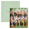 Shinjuku Takano Fruit Chocolate подарок x 10 Фруктовый шоколадный деликатес По 10 штук в индивидуальной упаковке (80г пакеты) магазин размером с укус (шоколад/подарок/ассорти)