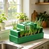 Ventilated Chives Seedling Tray Lettuce Soilless Cultivation Pot Water Cultivation Box  Hydroponic
