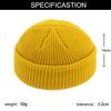 Autumn And Winter Wild Knitted Melon Skin Trend Hip Hop Hat