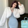 Y2K Short Fluffy Faux Fur Mink Coats Autumn Winter Ladies Elegant Fur Jackets For Women
