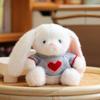 Cute Ear Drooping Bunny Plush Toy Soothing Doll Couple Bunny Birthday Gift